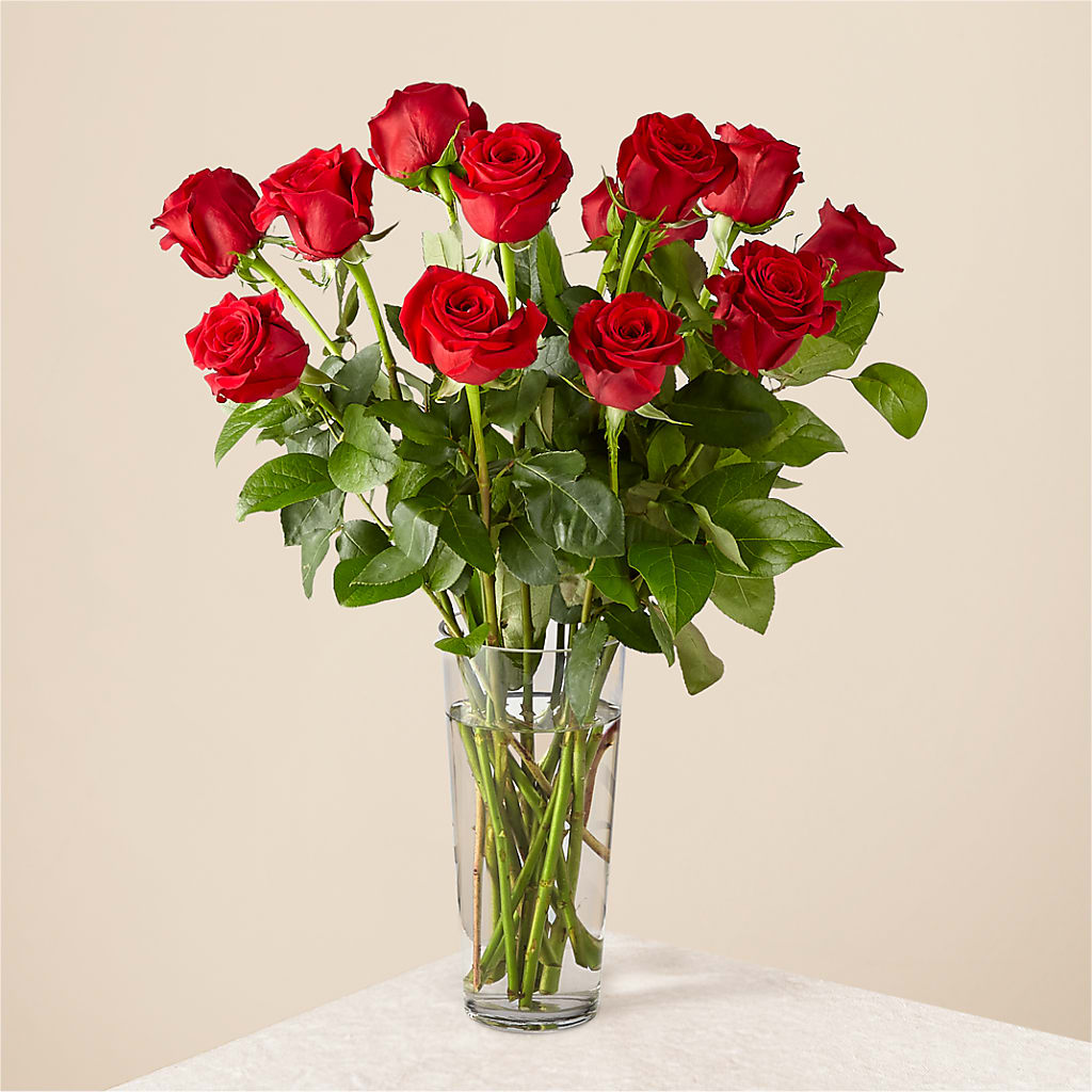 Long Stem Red Rose Bouquet – One Million Roses Llc, Caldwell ID