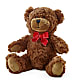 Adorable Plush Bear – One Million Roses Llc, Caldwell ID