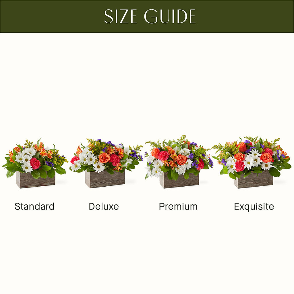 Oopsie Daisy Box Bouquet – One Million Roses Llc, Caldwell ID
