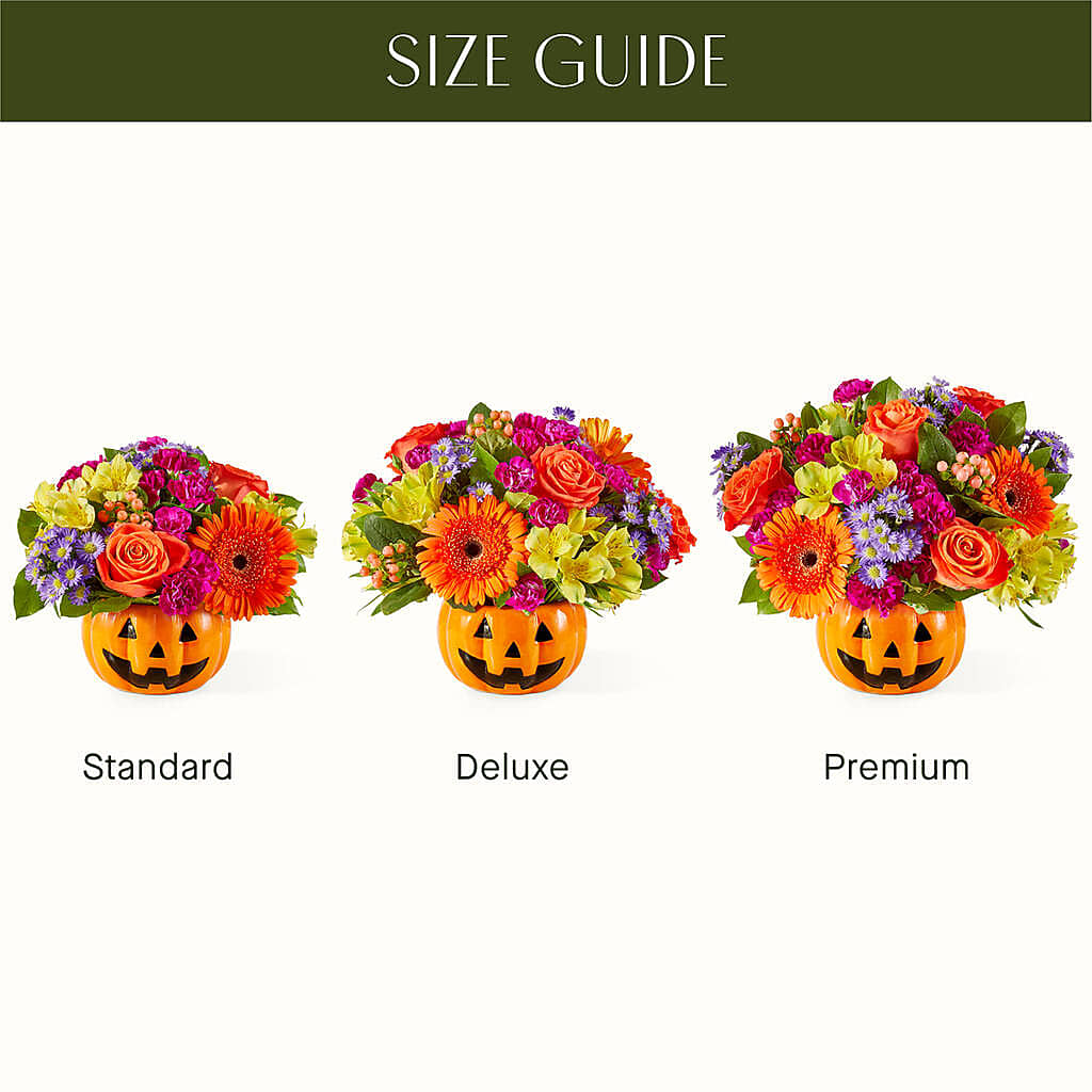 Tricks & Treats Pumpkin – One Million Roses Llc, Caldwell ID