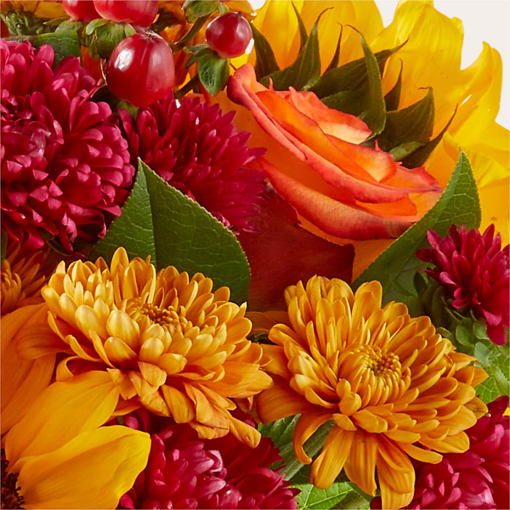 Sweater Season - A Florist Original – One Million Roses Llc, Caldwell ID