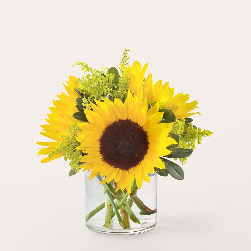 Beaming Sunflower Bouquet – One Million Roses Llc, Caldwell ID