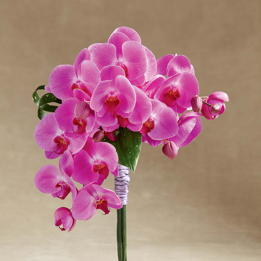 Glorious Bouquet – One Million Roses Llc, Caldwell ID