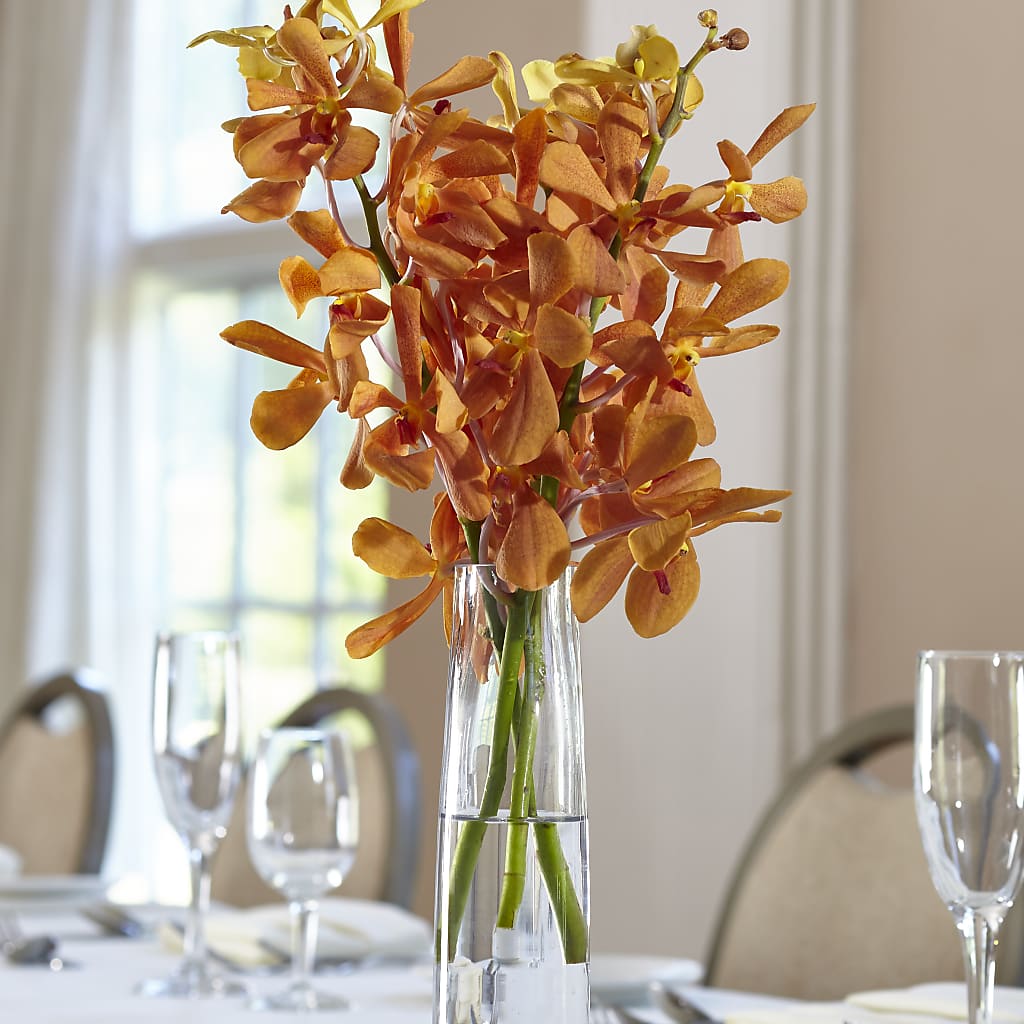 Orange Mokara Bud Vase – One Million Roses Llc, Caldwell ID