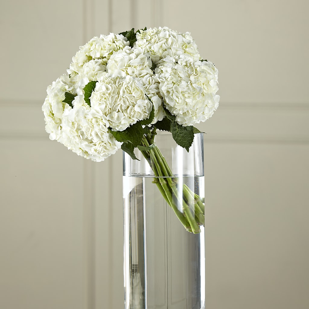 White Hydrangea Hand-Tied Bouquet – One Million Roses Llc, Caldwell ID