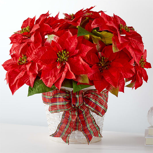 Happiest Holidays Poinsettia –  One Million Roses Llc, Caldwell ID