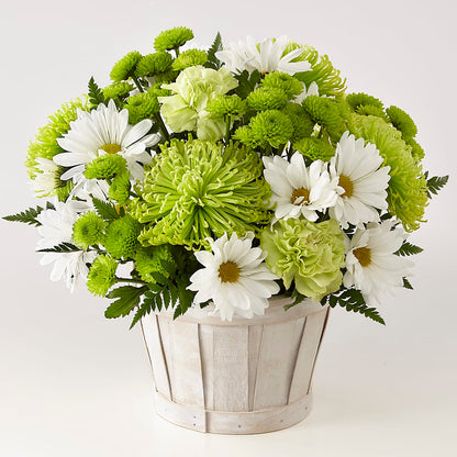Lucky Charm Basket (Standard) –  One Million Roses Llc, Caldwell ID