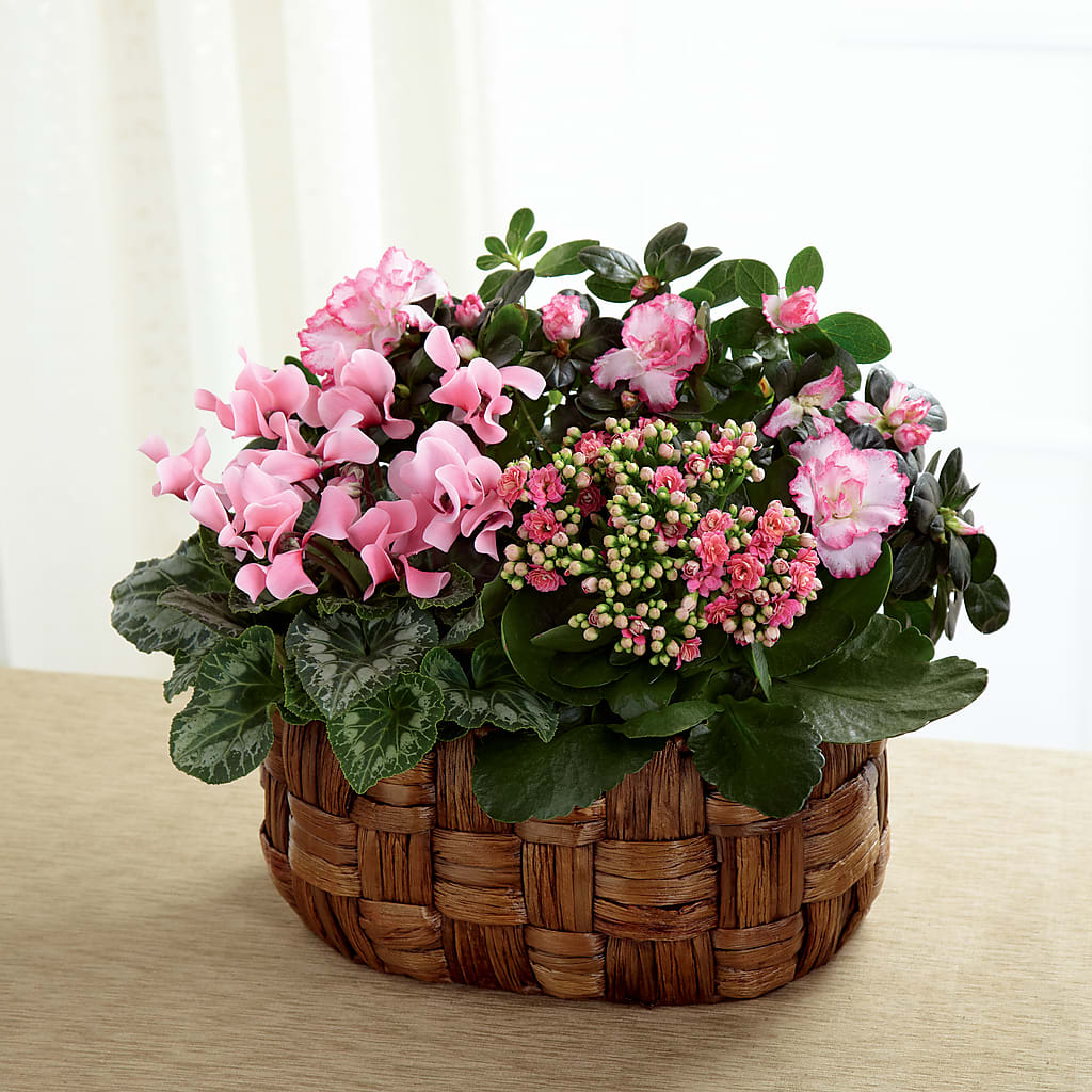 Pink Assortment –  One Million Roses Llc, Caldwell ID