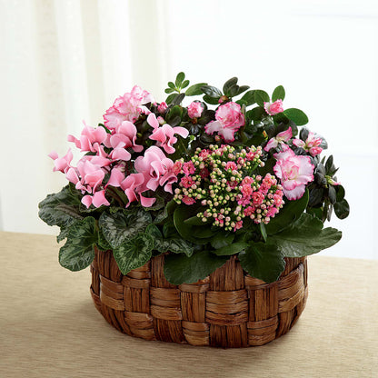 Pink Assortment –  One Million Roses Llc, Caldwell ID