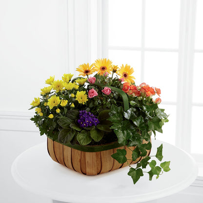 Gentle Blossoms Basket –  One Million Roses Llc, Caldwell ID
