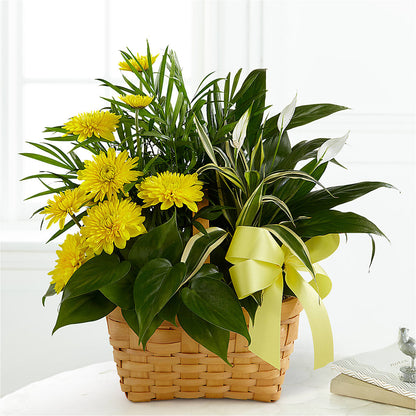 Loving Light Dishgarden –  One Million Roses Llc, Caldwell ID