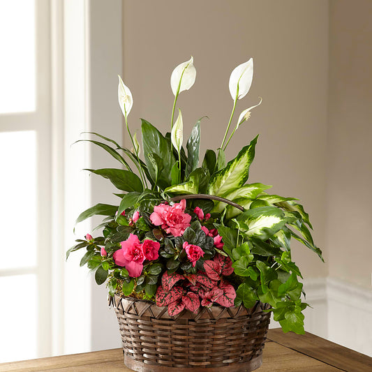 Dream in Pink Dishgarden –  One Million Roses Llc, Caldwell ID