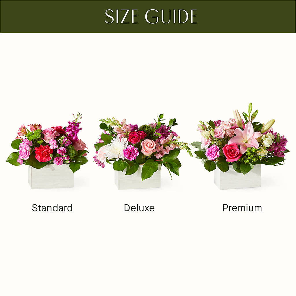 Sweetberry Box – A Florist Original –  One Million Roses Llc, Caldwell ID