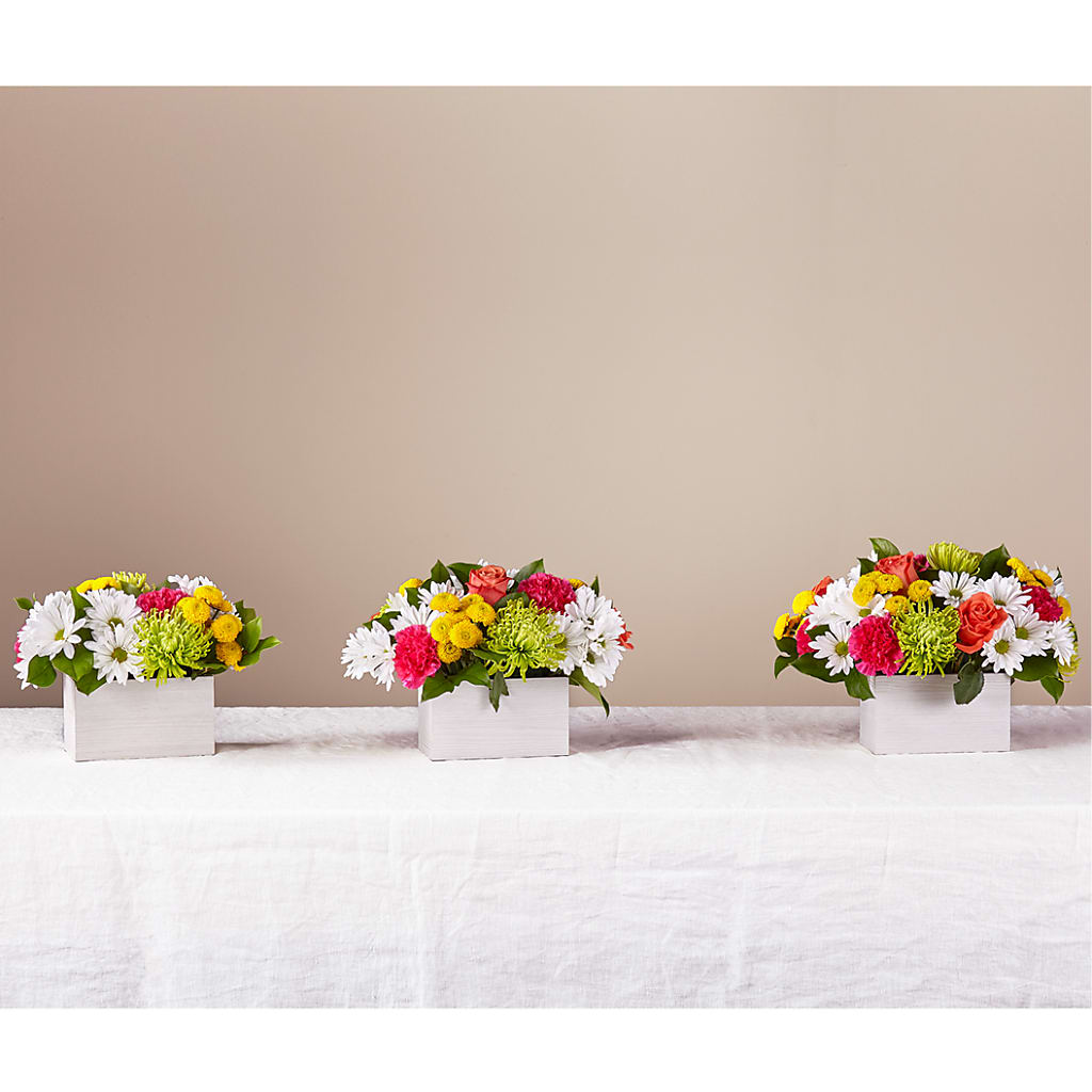 Sorbet Bouquet –  One Million Roses Llc, Caldwell ID