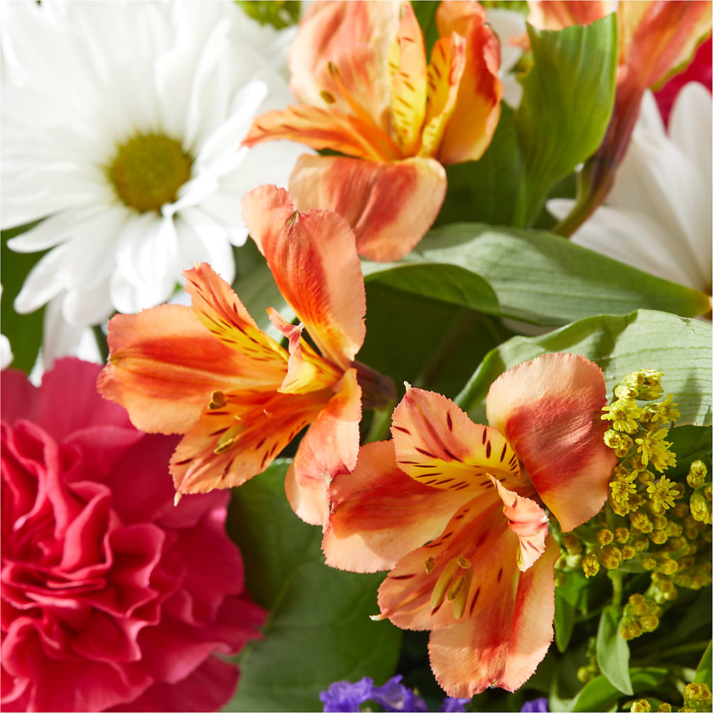 Oopsie Daisy Box Bouquet –  One Million Roses Llc, Caldwell ID