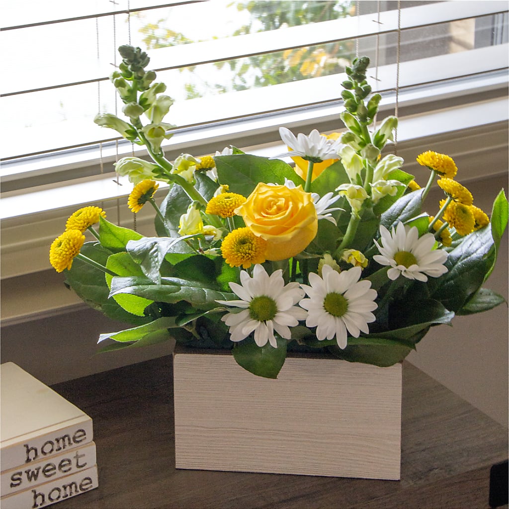 Sun Salutation Box Bouquet –  One Million Roses Llc, Caldwell ID