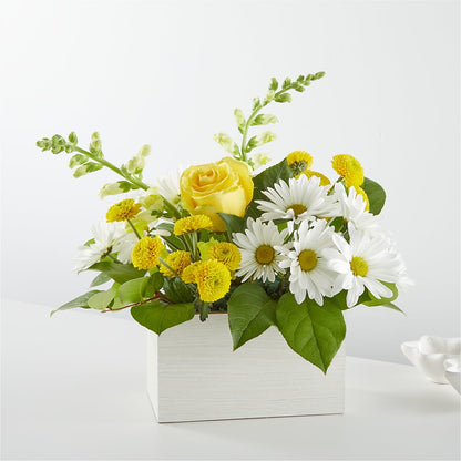 Sun Salutation Box Bouquet –  One Million Roses Llc, Caldwell ID