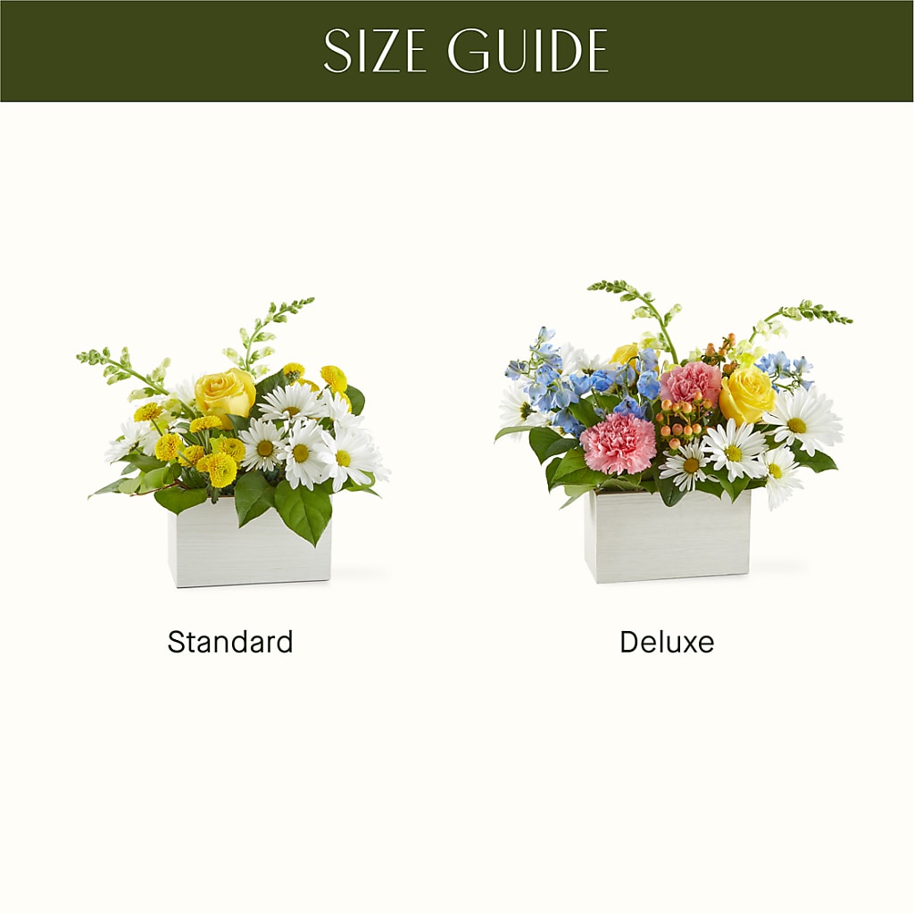 Sun Salutation Box Bouquet –  One Million Roses Llc, Caldwell ID