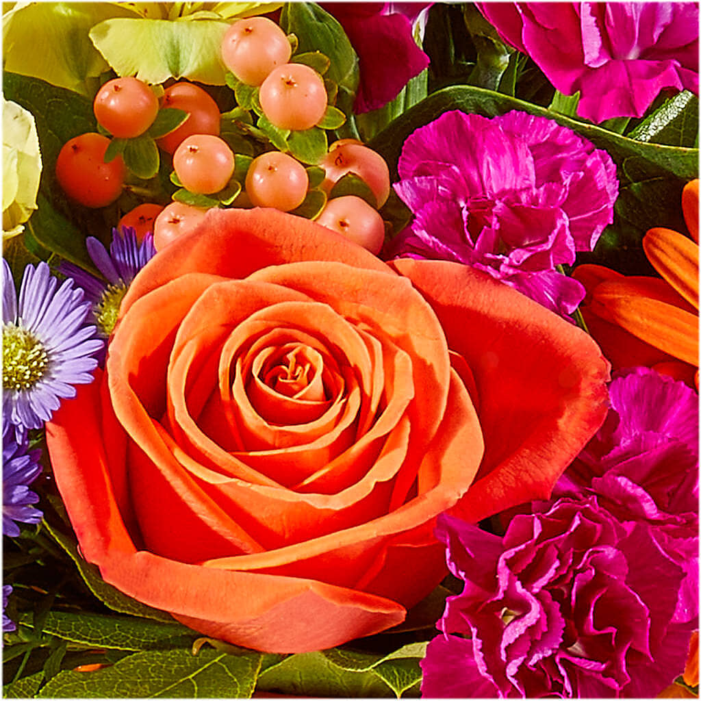 Tricks & Treats Pumpkin –  One Million Roses Llc, Caldwell ID