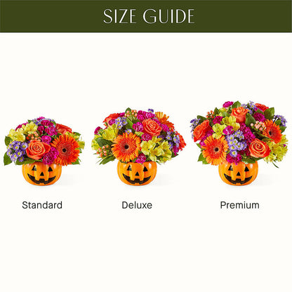 Tricks & Treats Pumpkin –  One Million Roses Llc, Caldwell ID