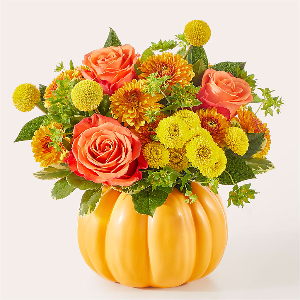 Gourdgeous Pumpkin –  One Million Roses Llc, Caldwell ID