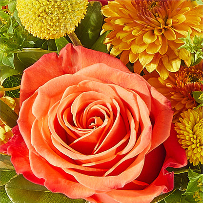 Gourdgeous Pumpkin –  One Million Roses Llc, Caldwell ID