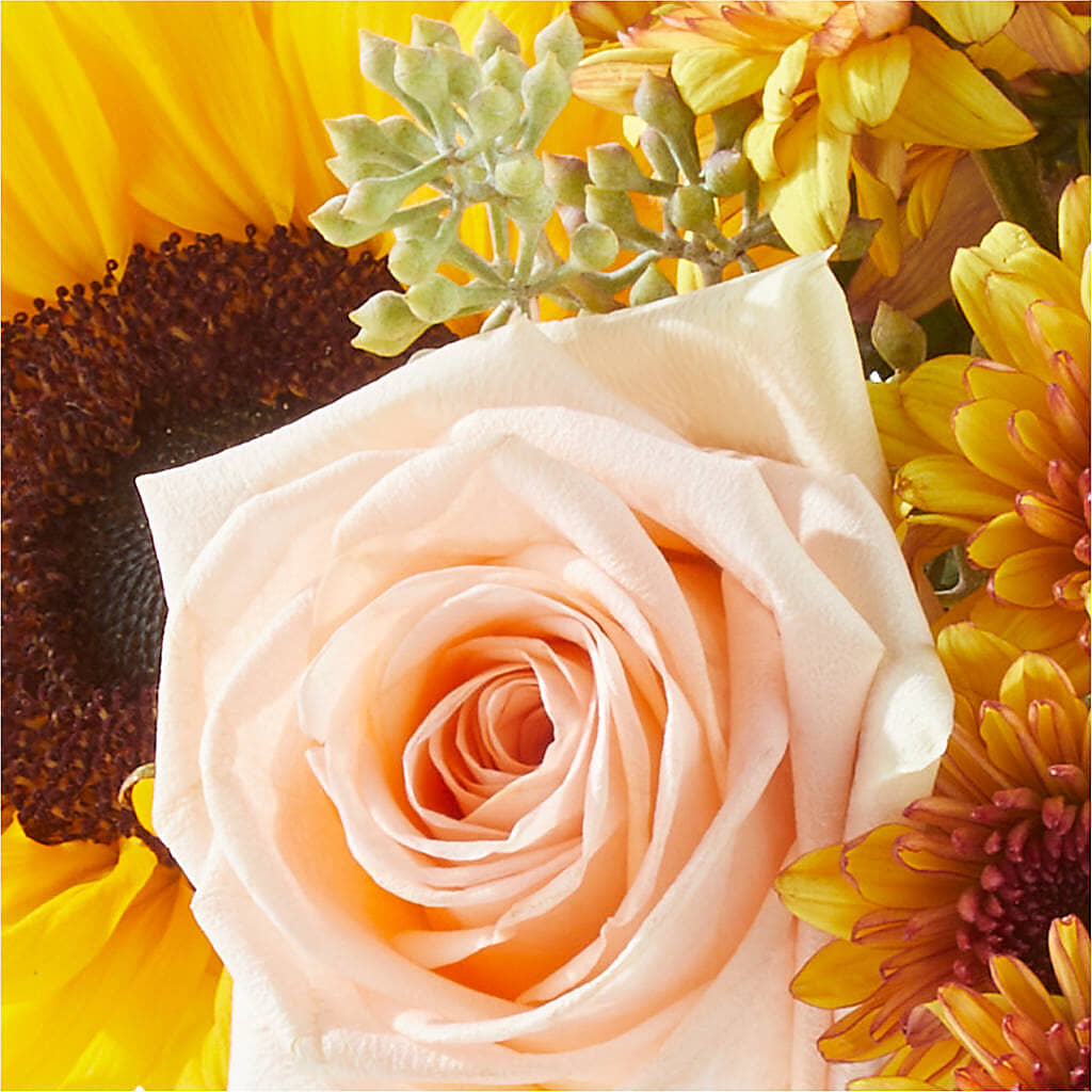 Pumpkin to Talk About Bouquet –  One Million Roses Llc, Caldwell ID