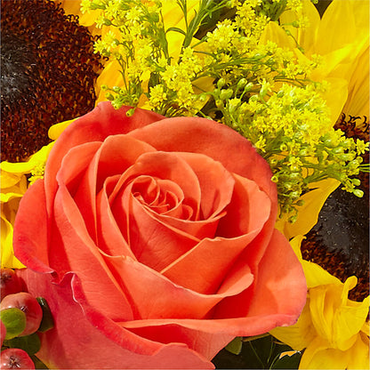 Pick of the Patch Pumpkin Bouquet –  One Million Roses Llc, Caldwell ID