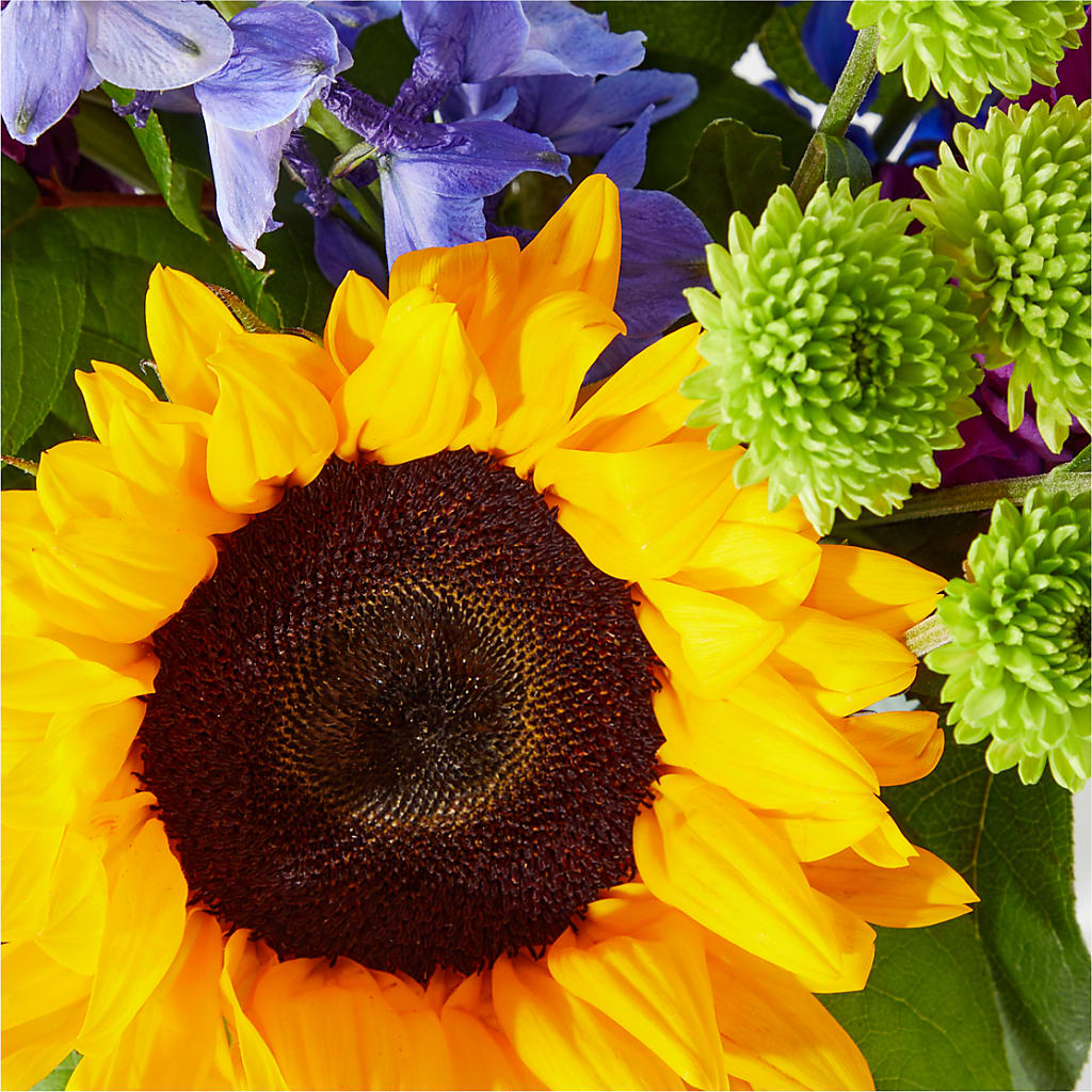 Catching Rays Bouquet –  One Million Roses Llc, Caldwell ID