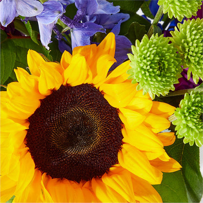 Catching Rays Bouquet –  One Million Roses Llc, Caldwell ID