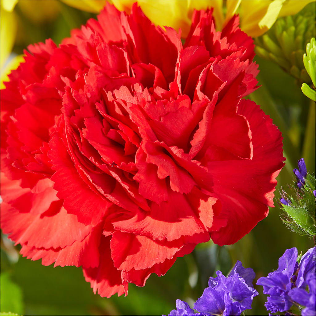 Brighter Days Bouquet –  One Million Roses Llc, Caldwell ID