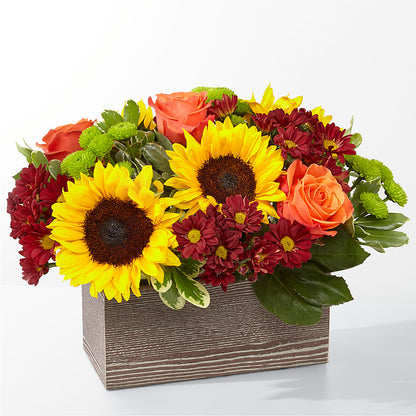 Happy Harvest Garden –  One Million Roses Llc, Caldwell ID