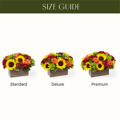 Happy Harvest Garden –  One Million Roses Llc, Caldwell ID