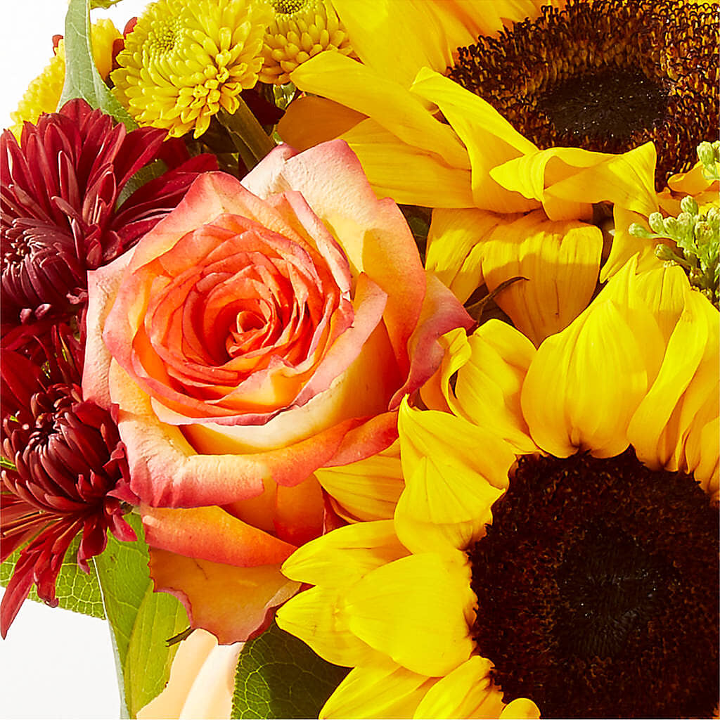 Golden Gourd Pumpkin Bouquet –  One Million Roses Llc, Caldwell ID