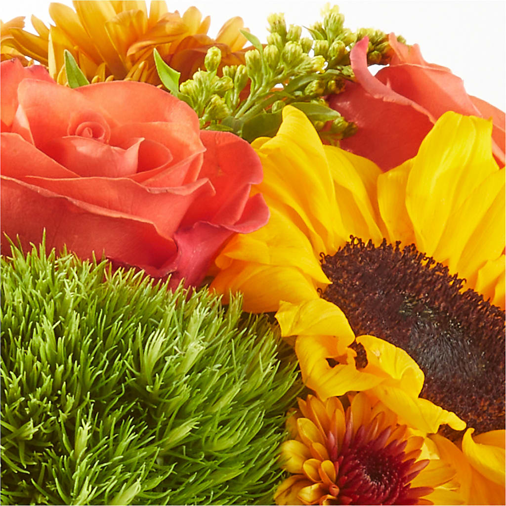 Farmer’s Market Stroll Bouquet –  One Million Roses Llc, Caldwell ID