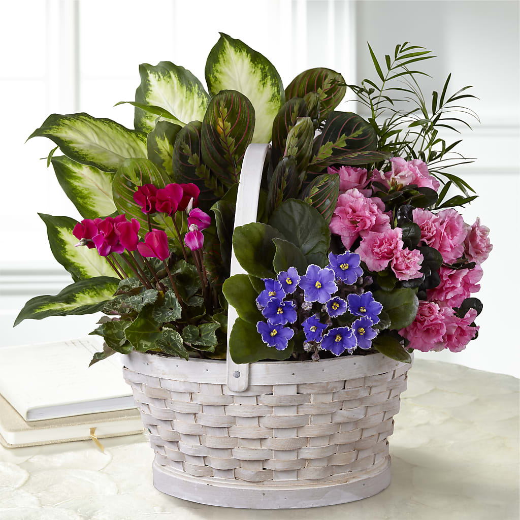 Peaceful Garden Planter –  One Million Roses Llc, Caldwell ID