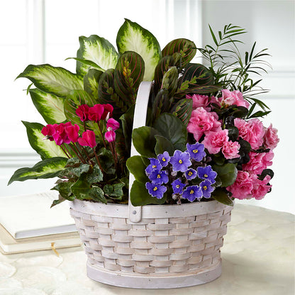 Peaceful Garden Planter –  One Million Roses Llc, Caldwell ID