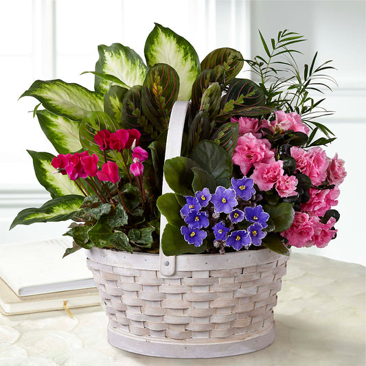 Peaceful Garden Planter –  One Million Roses Llc, Caldwell ID