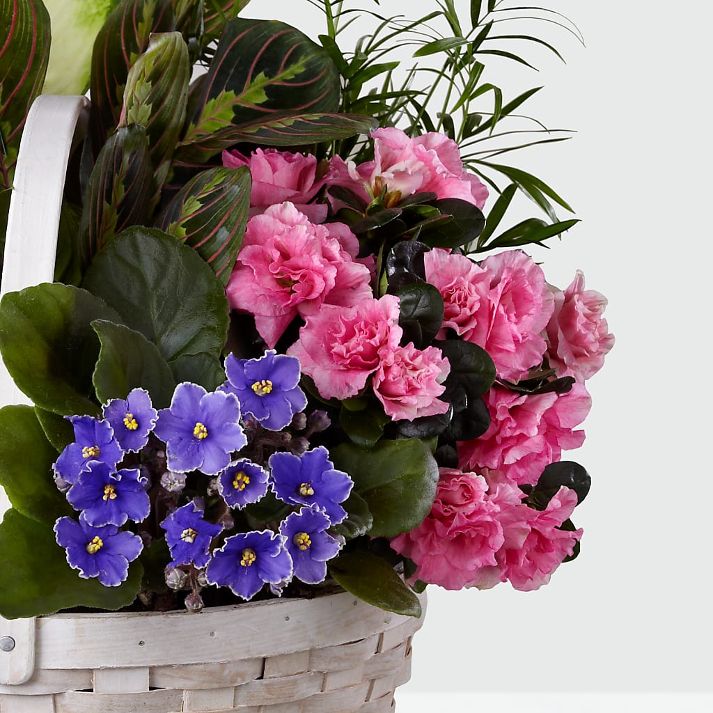 Peaceful Garden Planter –  One Million Roses Llc, Caldwell ID