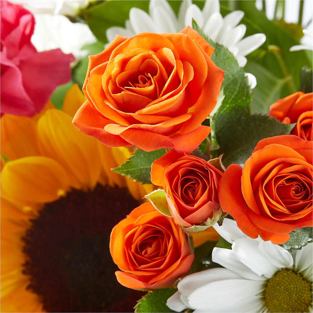 Sun-drenched Blooms Bouquet –  One Million Roses Llc, Caldwell ID