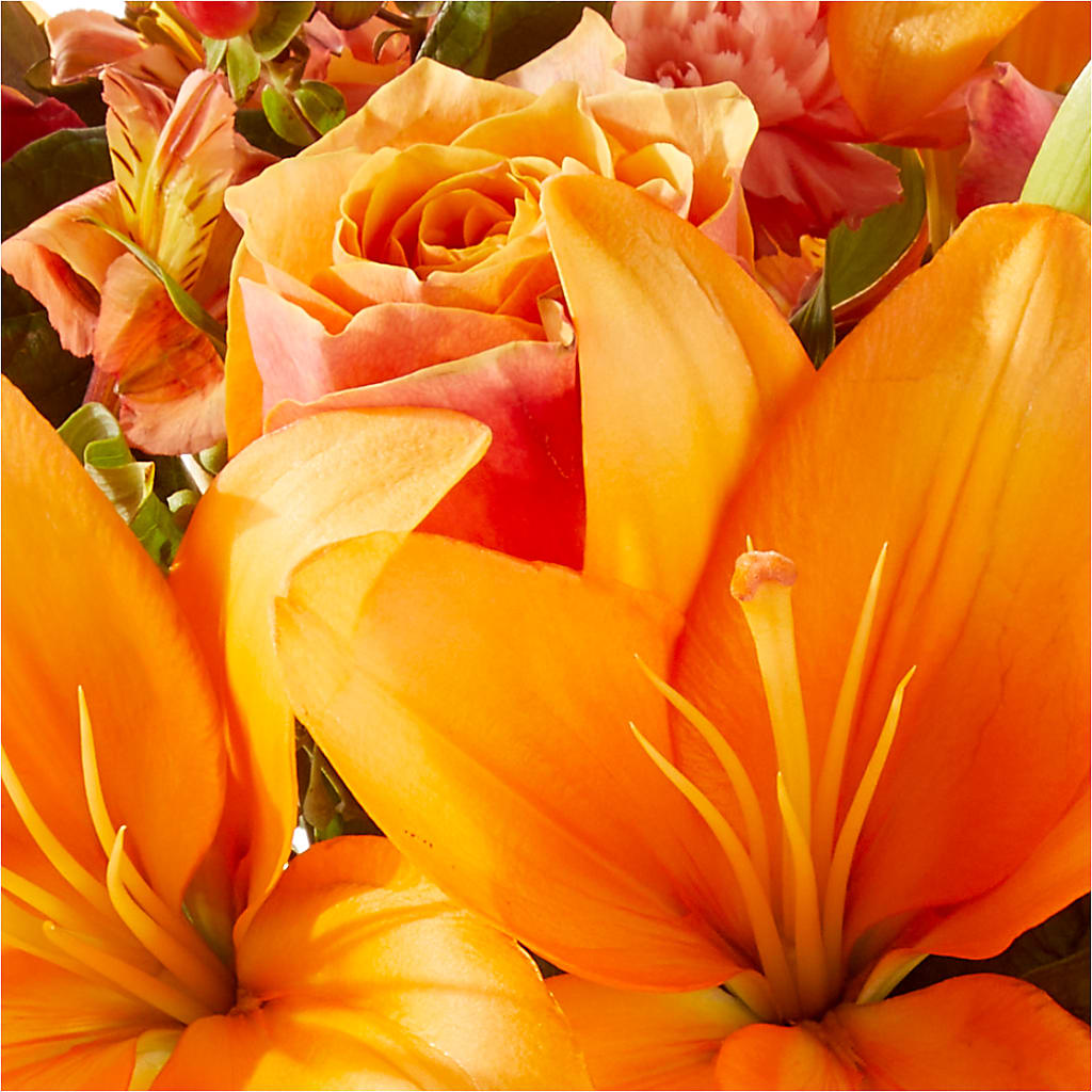 Afternoon Light Bouquet –  One Million Roses Llc, Caldwell ID