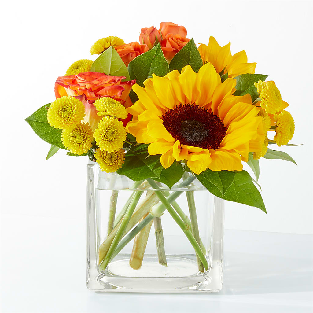 Picnic in the Park Bouquet –  One Million Roses Llc, Caldwell ID