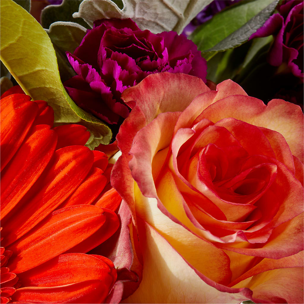 Sangria Bouquet –  One Million Roses Llc, Caldwell ID