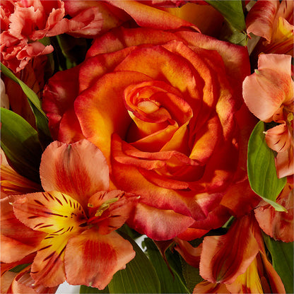 Apricot Glow Bouquet –  One Million Roses Llc, Caldwell ID
