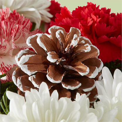 Candy Cane Lane Bouquet –  One Million Roses Llc, Caldwell ID