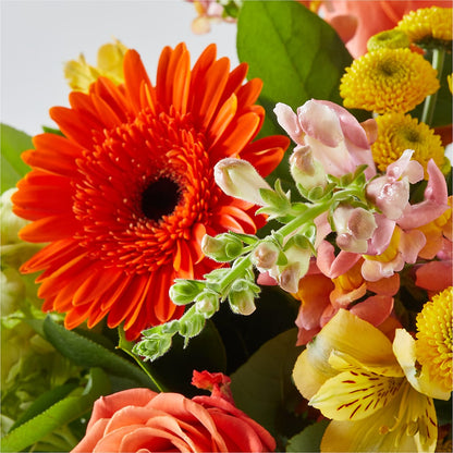 Autumn Sunshine Bouquet –  One Million Roses Llc, Caldwell ID
