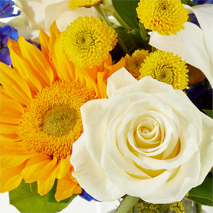 Stargazing Bouquet –  One Million Roses Llc, Caldwell ID