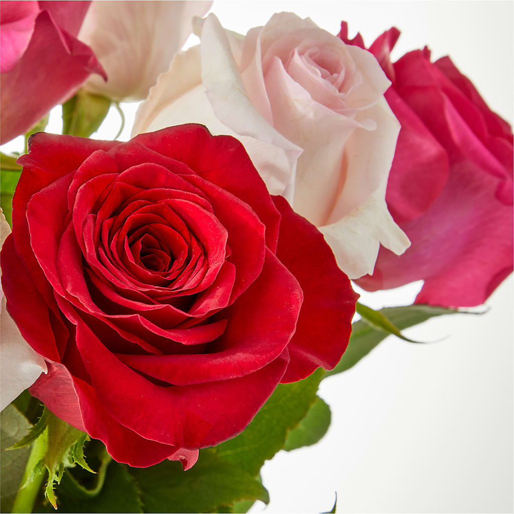 Charming Rose Bouquet –  One Million Roses Llc, Caldwell ID