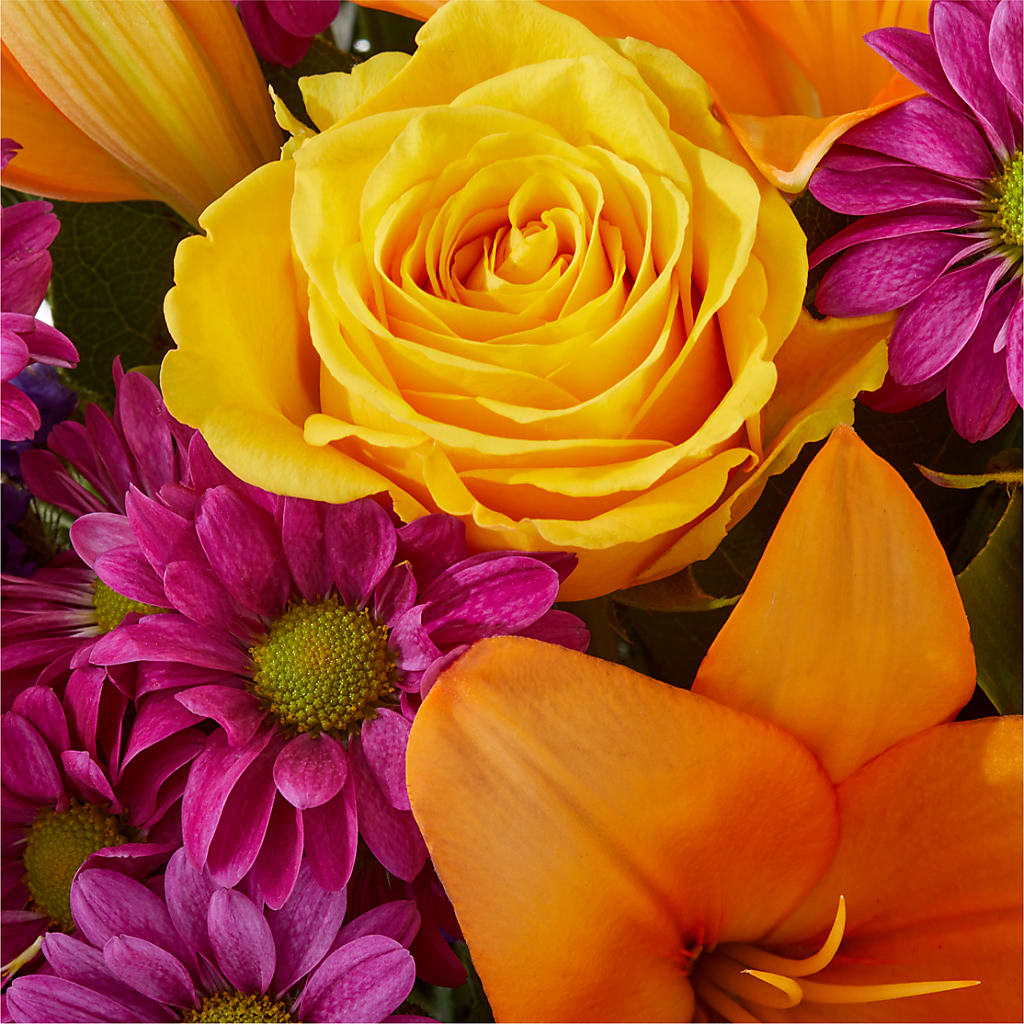 Colorful Visions Bouquet –  One Million Roses Llc, Caldwell ID