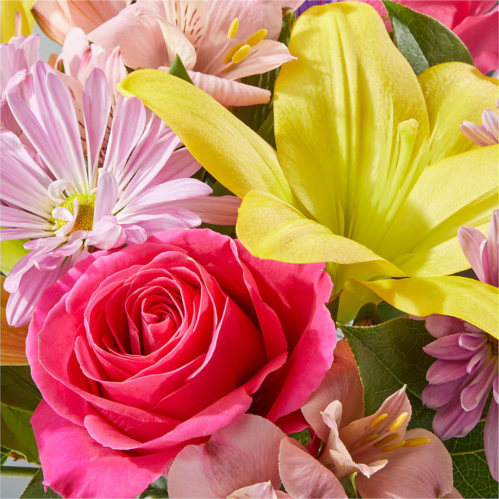 Sprinkles Bouquet –  One Million Roses Llc, Caldwell ID